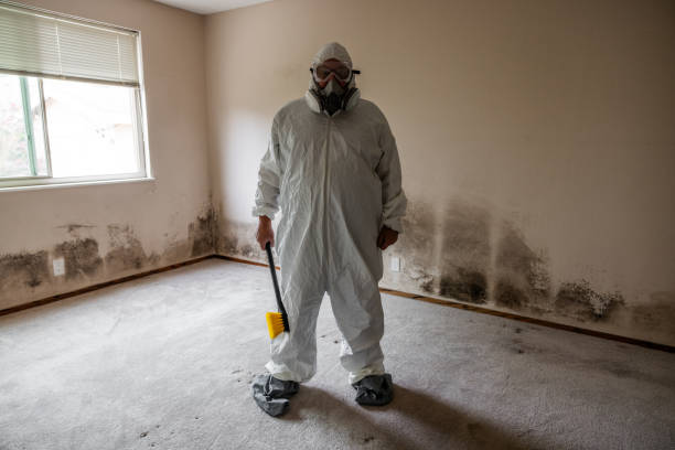 Best Mold Remediation for Healthcare Facilities  in Troy, PA